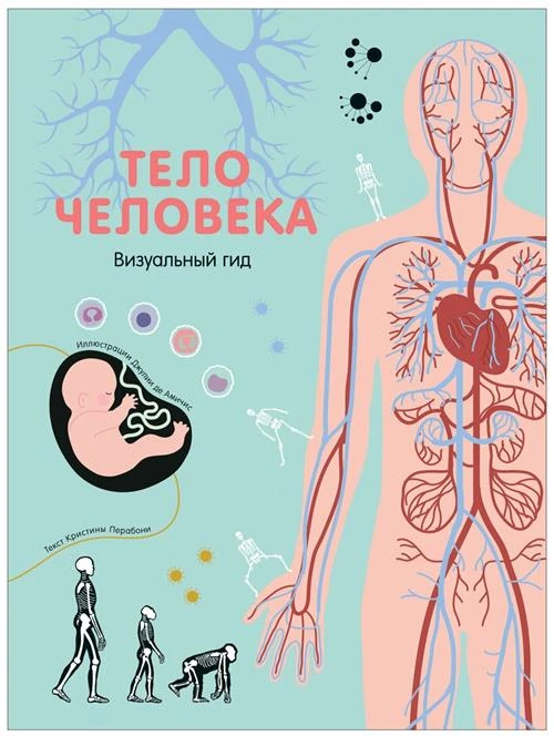 Перабони К. "Тело человека. Визуальный гид"