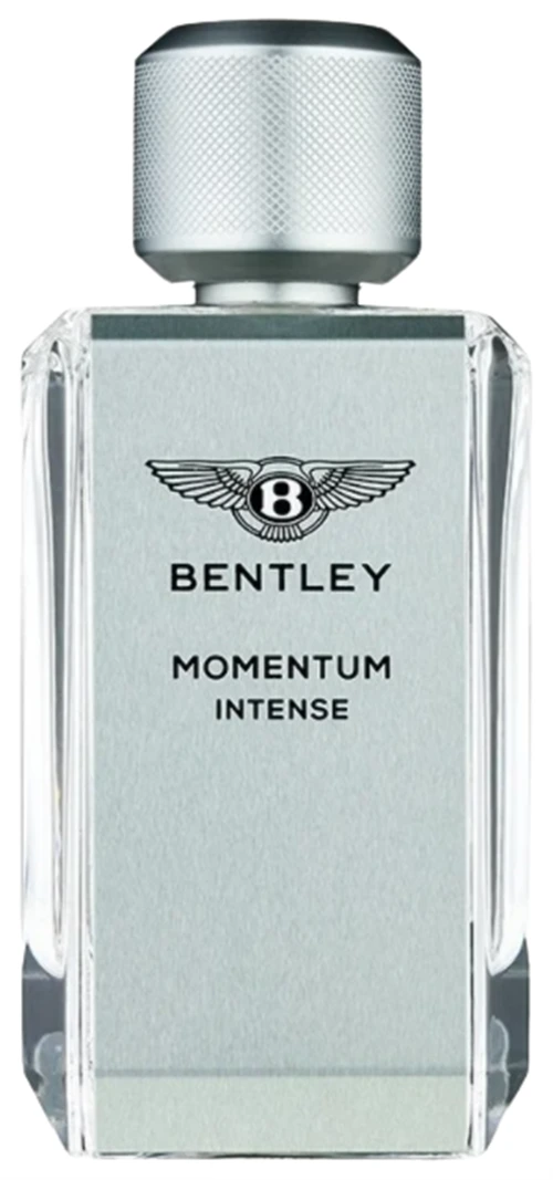 Bentley Momentum Intense