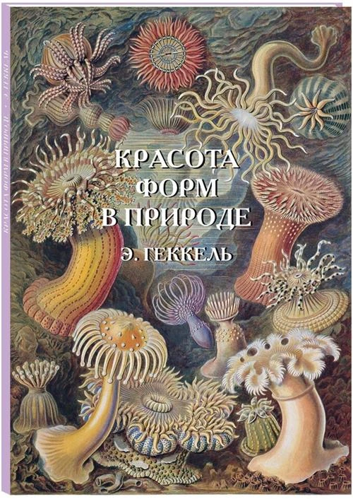 Геккель Э. "Красота форм в природе"