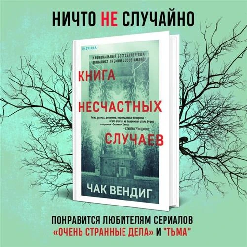 Вендиг Ч. "Книга несчастных случаев"