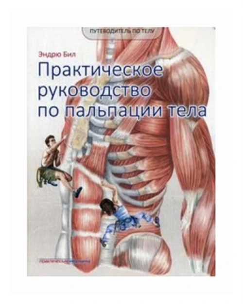 Бил Эндрю "Практическое руководство по пальпации тела. Учебное пособие"