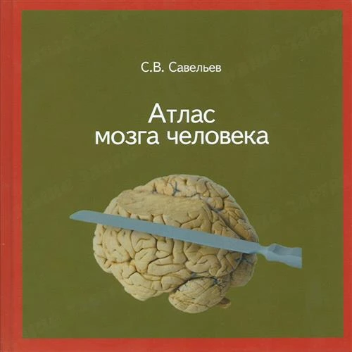 Атлас мозга человека. 2-е издание. Савельев С. В.